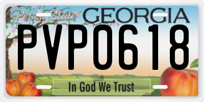 GA license plate PVP0618