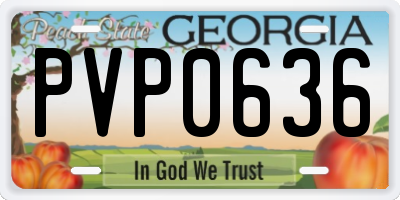 GA license plate PVP0636