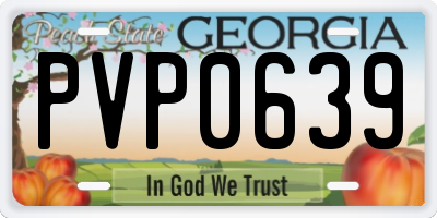 GA license plate PVP0639