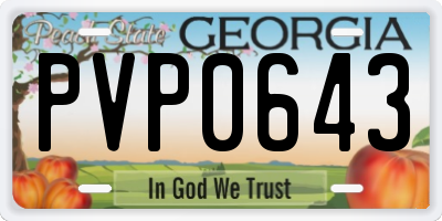 GA license plate PVP0643