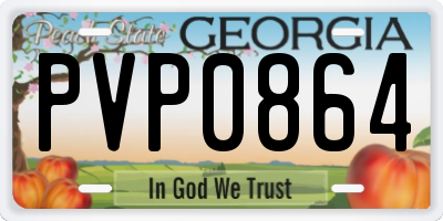 GA license plate PVP0864