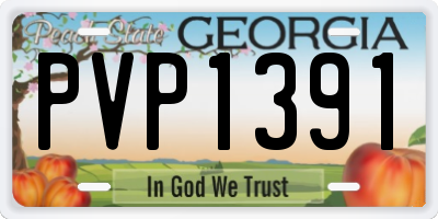 GA license plate PVP1391