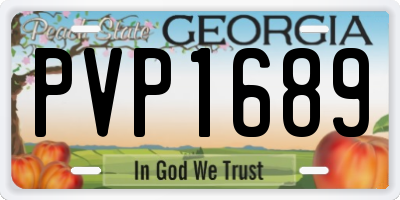 GA license plate PVP1689