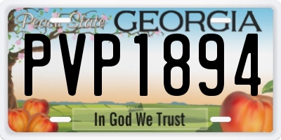 GA license plate PVP1894