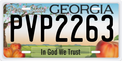 GA license plate PVP2263