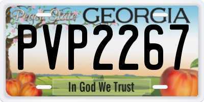GA license plate PVP2267