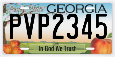 GA license plate PVP2345