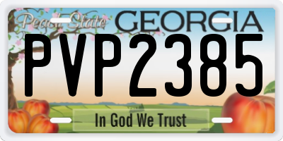 GA license plate PVP2385