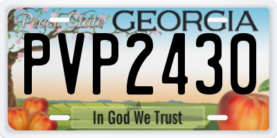 GA license plate PVP2430