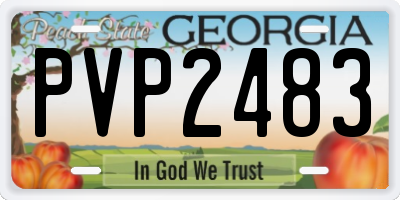 GA license plate PVP2483