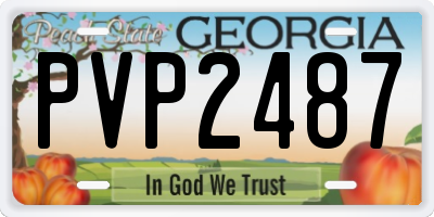 GA license plate PVP2487