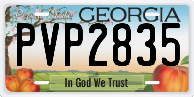 GA license plate PVP2835