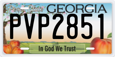 GA license plate PVP2851