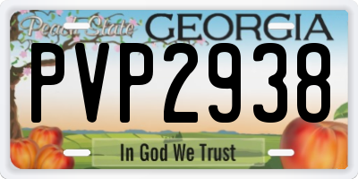 GA license plate PVP2938