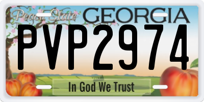 GA license plate PVP2974