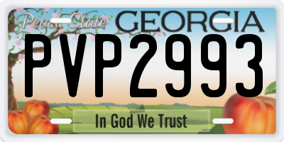 GA license plate PVP2993