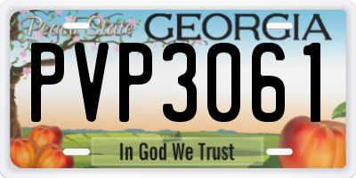 GA license plate PVP3061