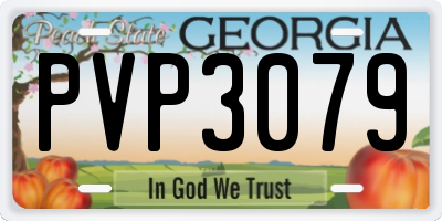GA license plate PVP3079