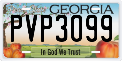 GA license plate PVP3099