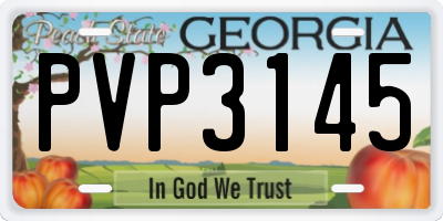 GA license plate PVP3145