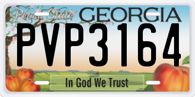 GA license plate PVP3164