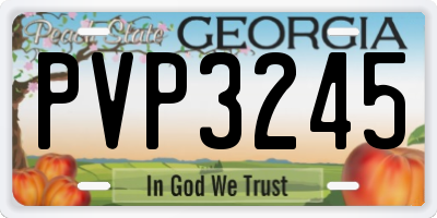 GA license plate PVP3245