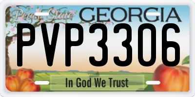 GA license plate PVP3306