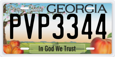 GA license plate PVP3344