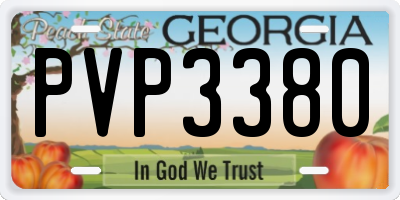 GA license plate PVP3380