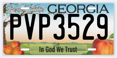 GA license plate PVP3529
