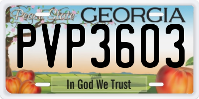 GA license plate PVP3603