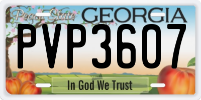 GA license plate PVP3607