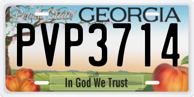 GA license plate PVP3714