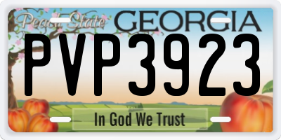 GA license plate PVP3923