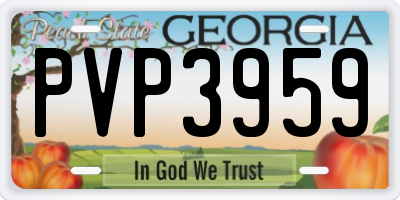 GA license plate PVP3959