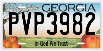 GA license plate PVP3982