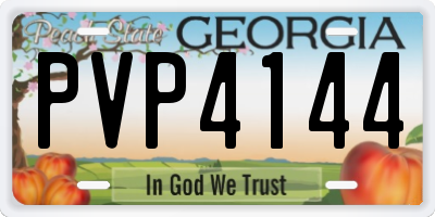 GA license plate PVP4144