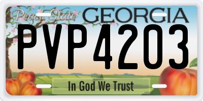 GA license plate PVP4203