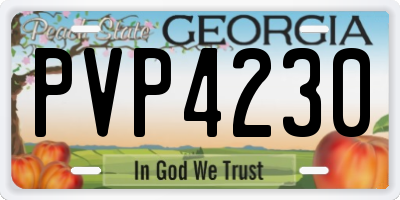 GA license plate PVP4230