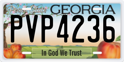 GA license plate PVP4236