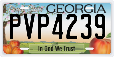 GA license plate PVP4239
