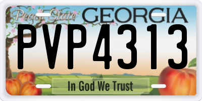 GA license plate PVP4313