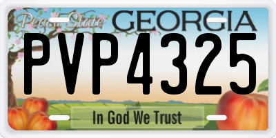 GA license plate PVP4325