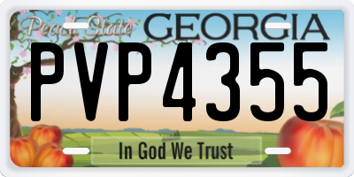 GA license plate PVP4355