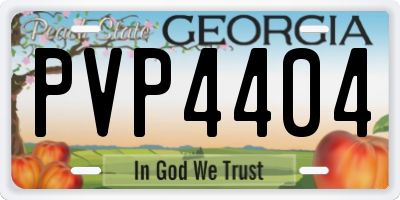 GA license plate PVP4404