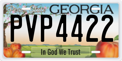 GA license plate PVP4422