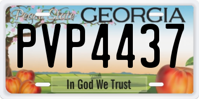 GA license plate PVP4437