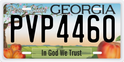 GA license plate PVP4460