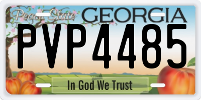 GA license plate PVP4485