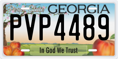 GA license plate PVP4489